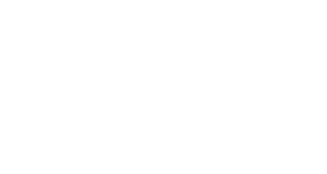 Inecca Logo
